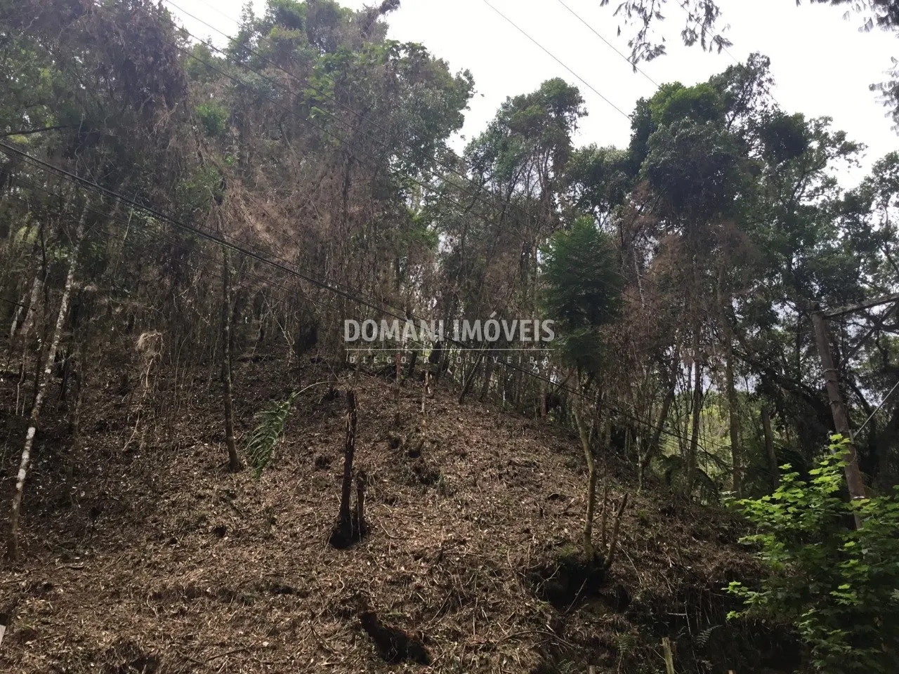 Terreno à venda de 1.010 m² em Campos do Jordão, SP, Brasil