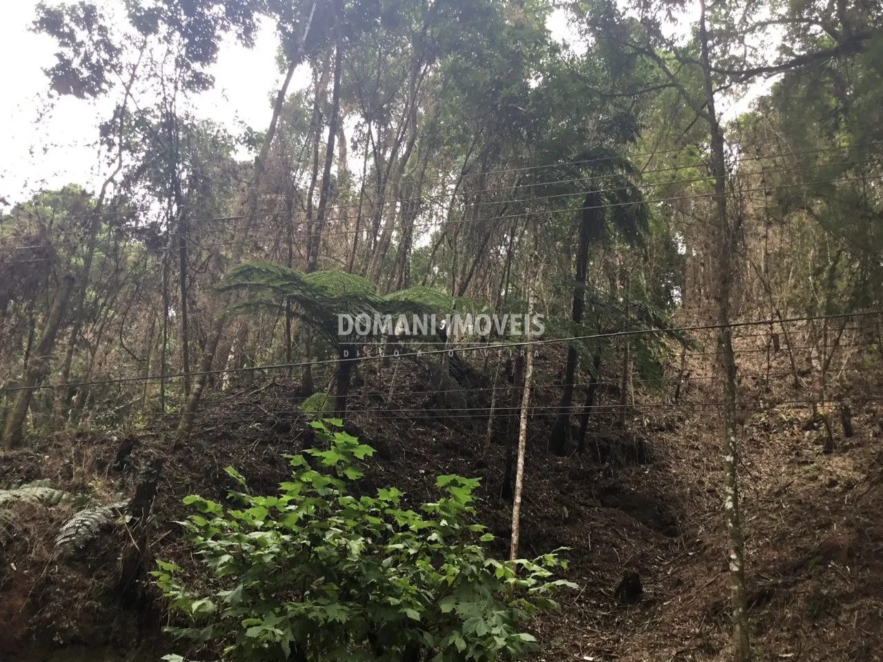 Terreno à venda de 1.010 m² em Campos do Jordão, SP, Brasil