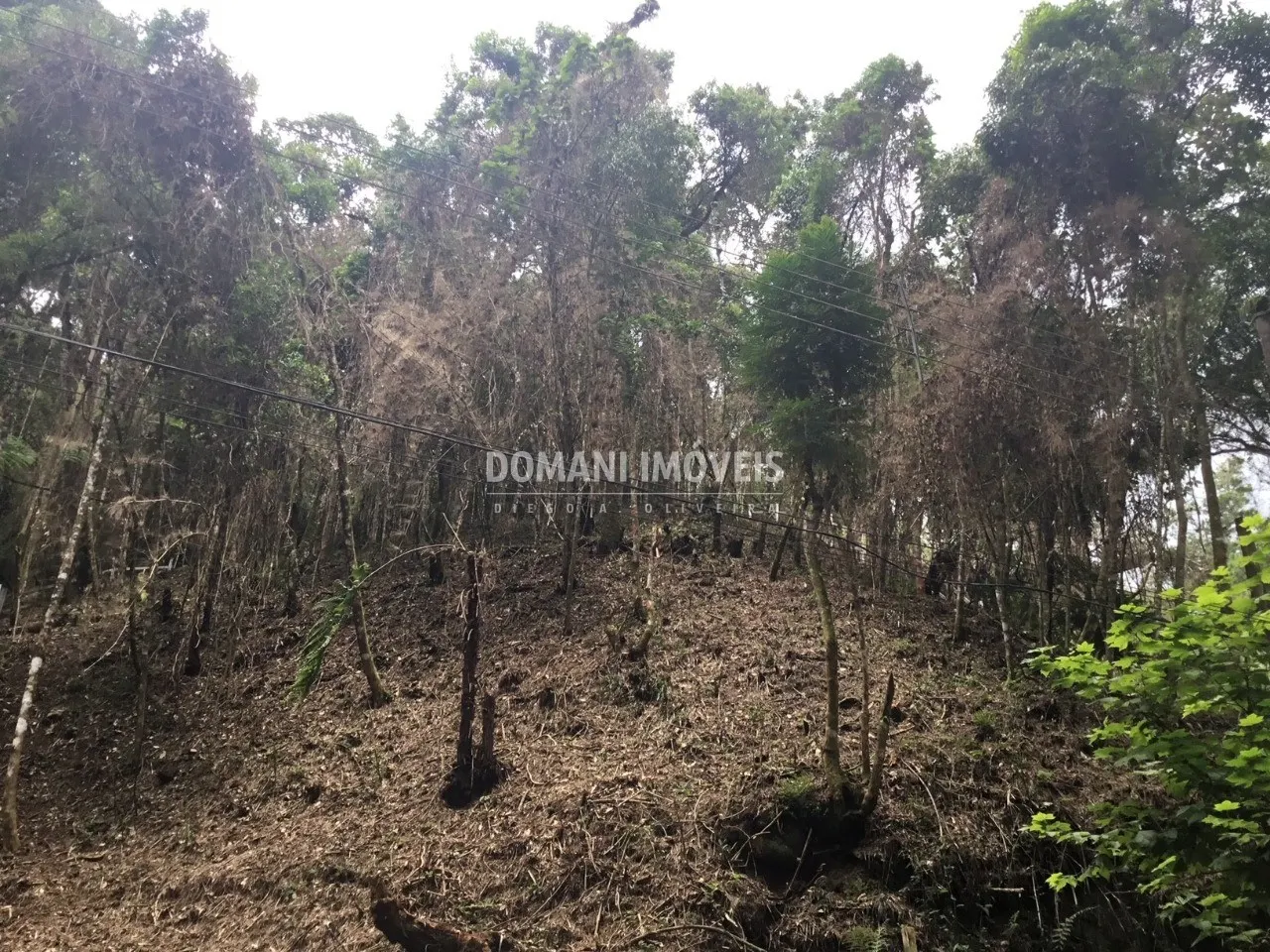 Terreno à venda de 1.010 m² em Campos do Jordão, SP, Brasil
