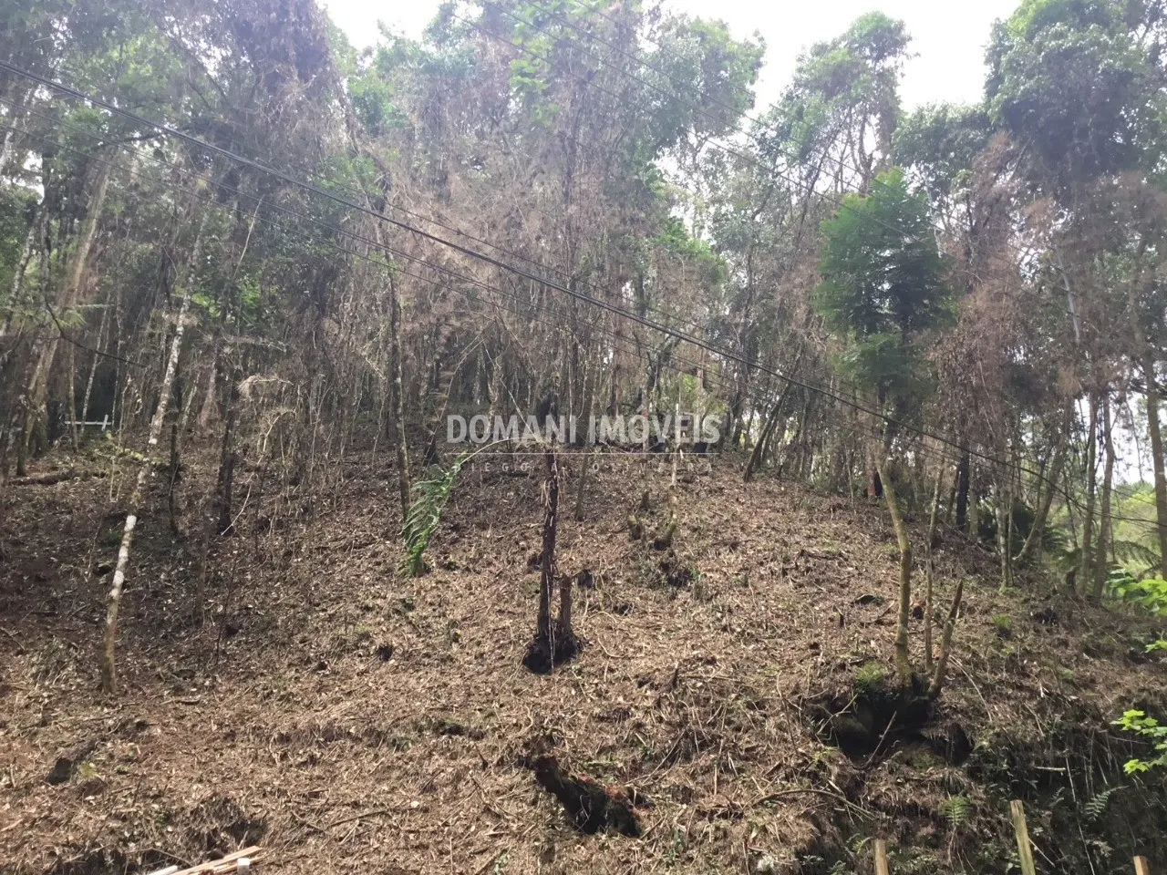 Terreno à venda de 1.010 m² em Campos do Jordão, SP, Brasil