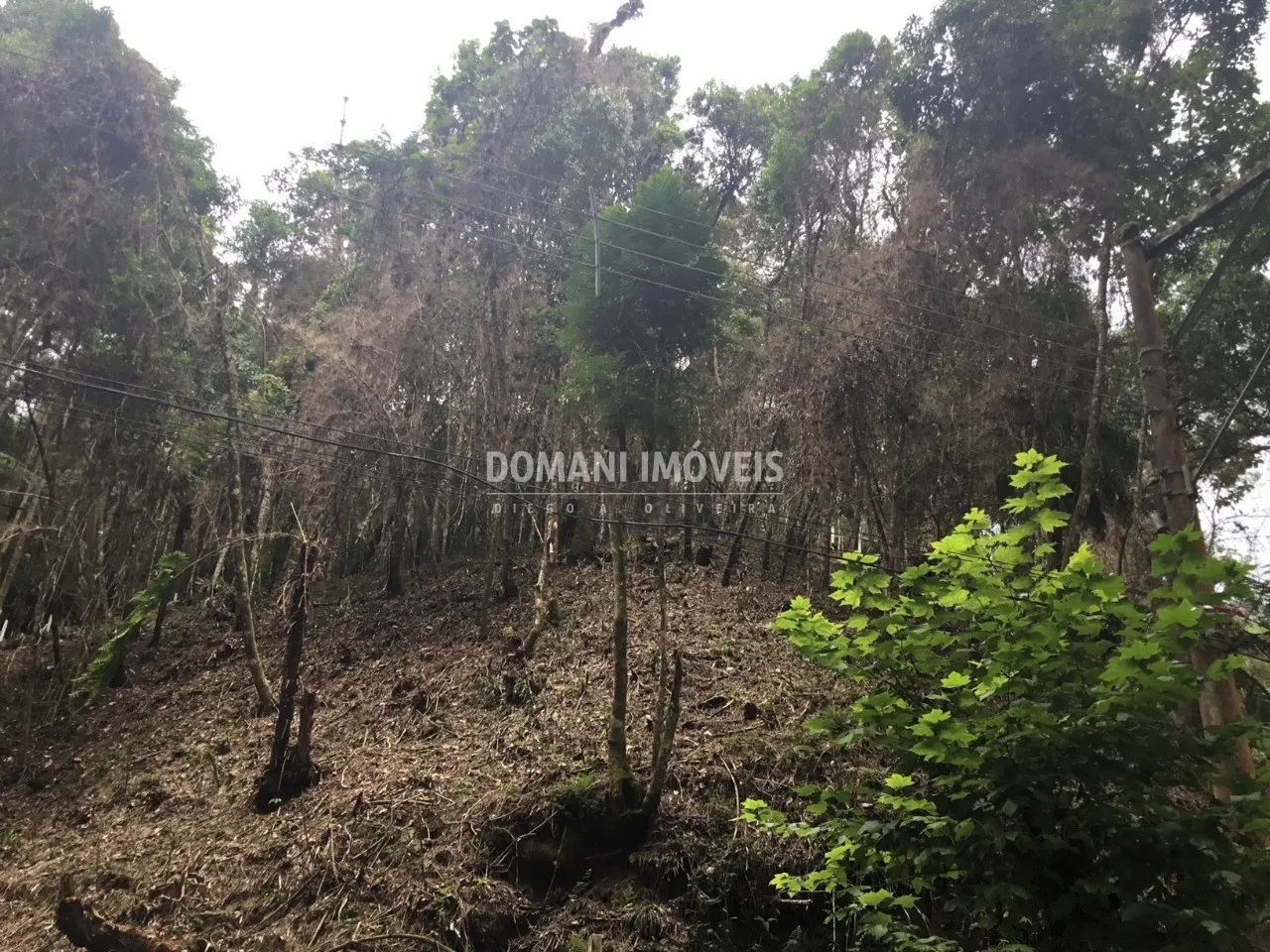 Terreno à venda de 1.010 m² em Campos do Jordão, SP, Brasil