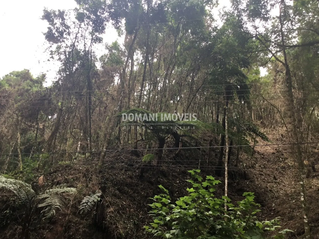 Terreno à venda de 1.010 m² em Campos do Jordão, SP, Brasil