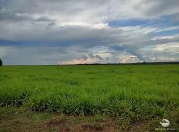Fazenda à venda de 484 ha em Jaú do Tocantins, TO, Brasil
