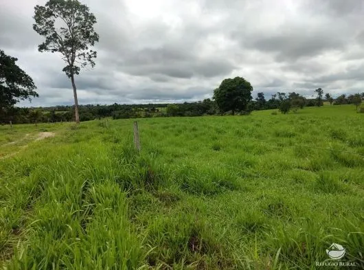 Fazenda à venda de 484 ha em Jaú do Tocantins, TO, Brasil