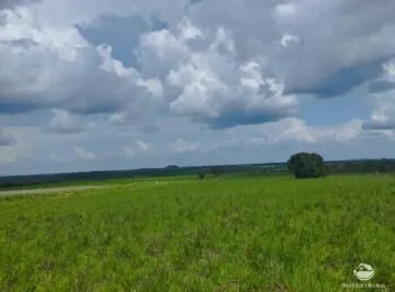 Fazenda à venda de 484 ha em Jaú do Tocantins, TO, Brasil