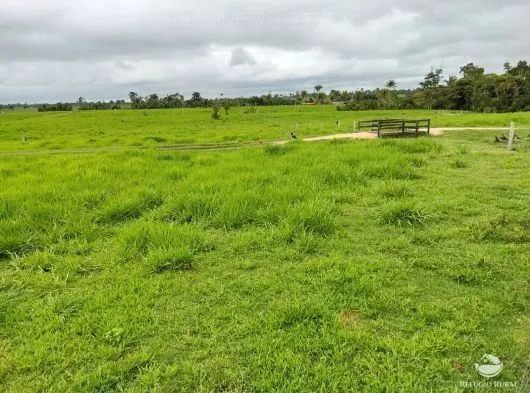Fazenda à venda de 484 ha em Jaú do Tocantins, TO, Brasil