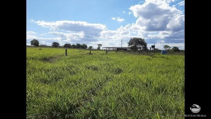 Fazenda à venda de 484 ha em Jaú do Tocantins, TO, Brasil