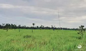 Fazenda à venda de 484 ha em Jaú do Tocantins, TO, Brasil