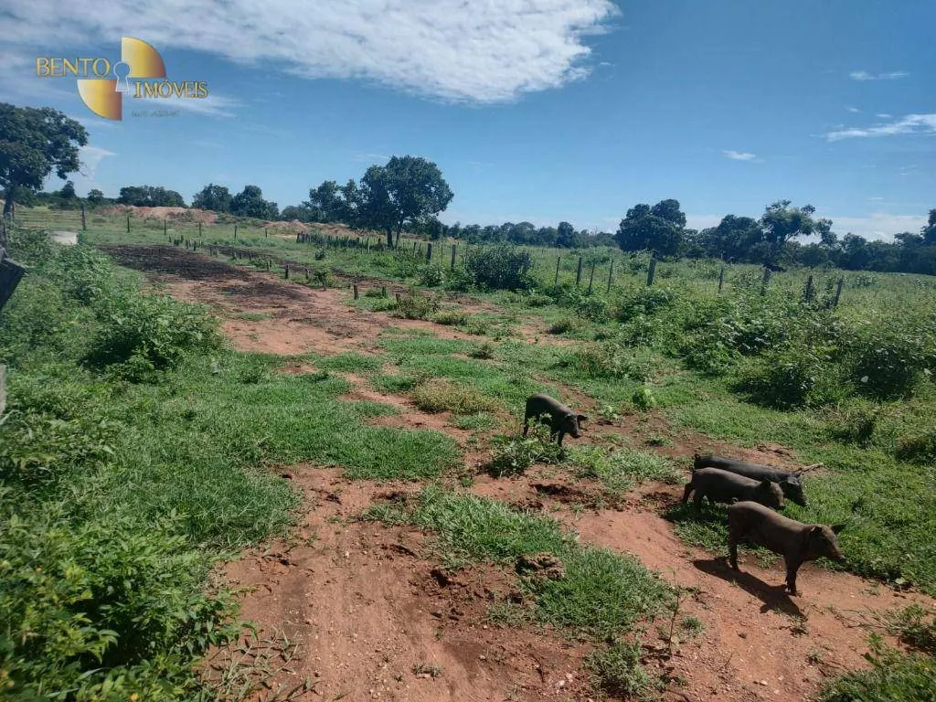 Fazenda à venda de 300 ha em Nossa Senhora do Livramento, MT, Brasil