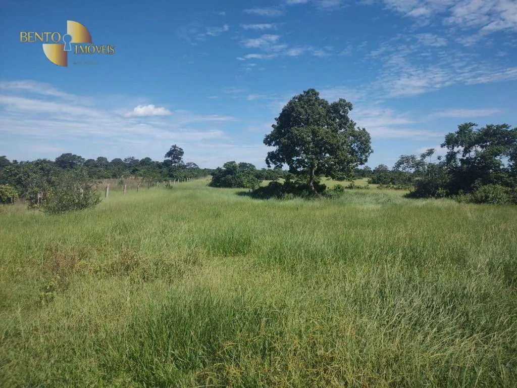 Fazenda à venda de 300 ha em Nossa Senhora do Livramento, MT, Brasil