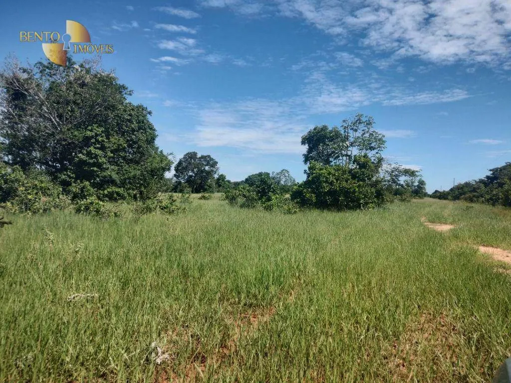 Fazenda à venda de 300 ha em Nossa Senhora do Livramento, MT, Brasil
