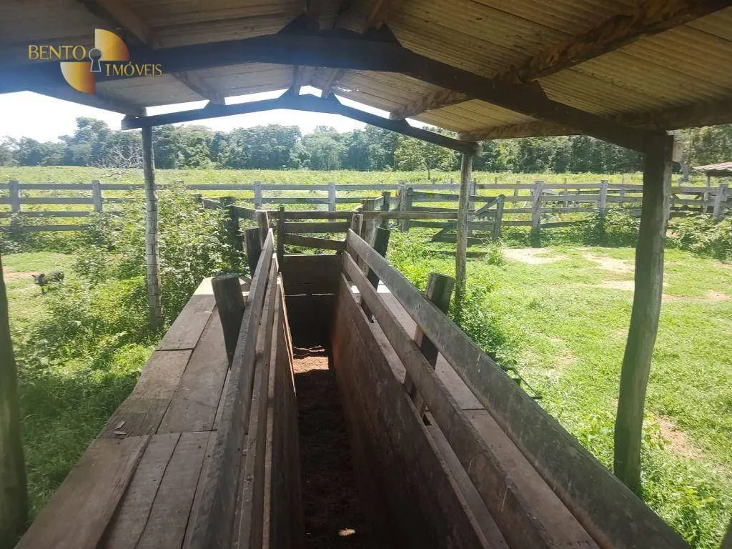 Fazenda à venda de 300 ha em Nossa Senhora do Livramento, MT, Brasil