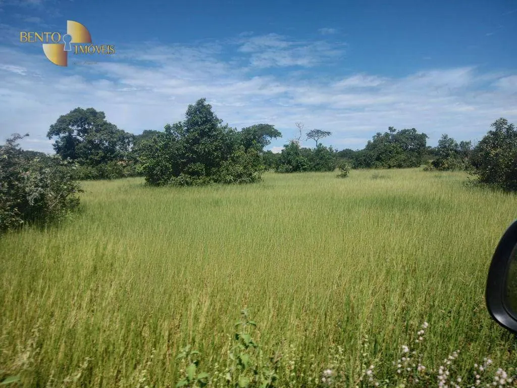 Fazenda à venda de 300 ha em Nossa Senhora do Livramento, MT, Brasil