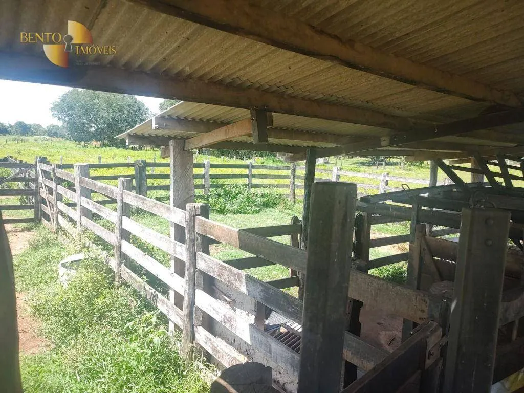 Fazenda à venda de 300 ha em Nossa Senhora do Livramento, MT, Brasil