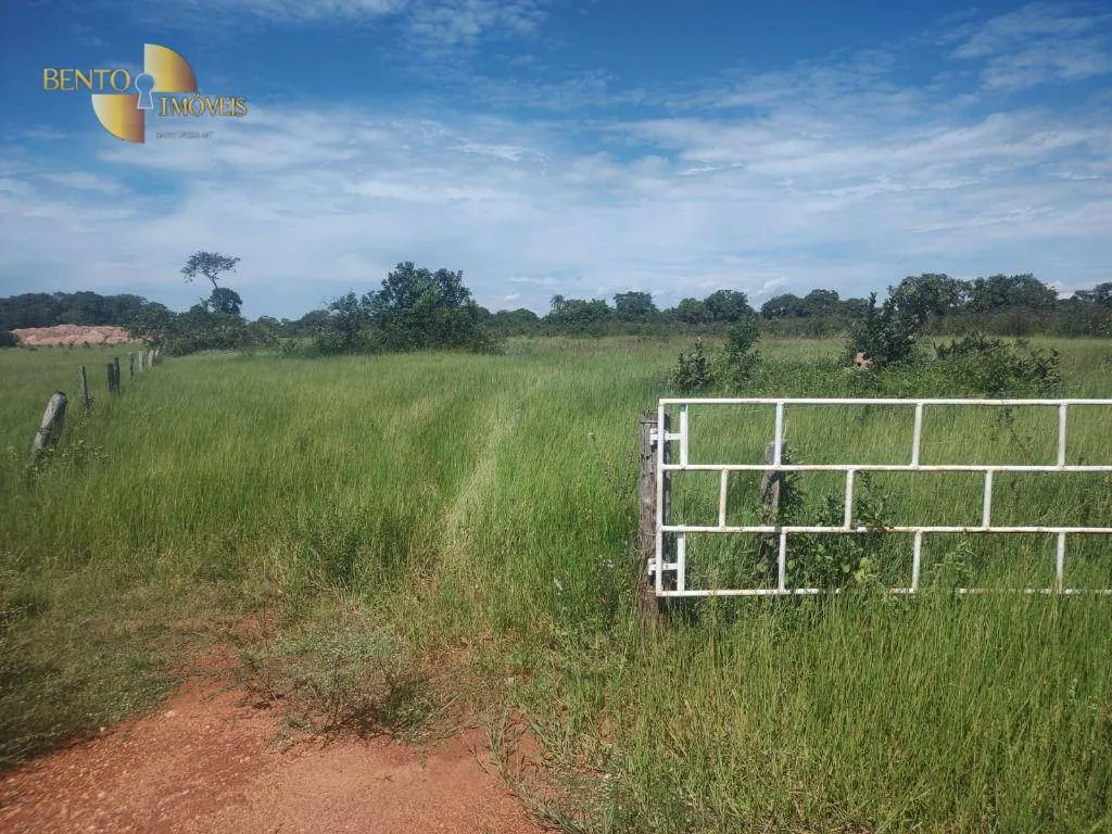 Fazenda à venda de 300 ha em Nossa Senhora do Livramento, MT, Brasil