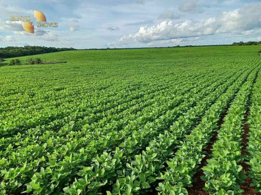 Fazenda à venda de 3.106 ha em Água Boa, MT, Brasil