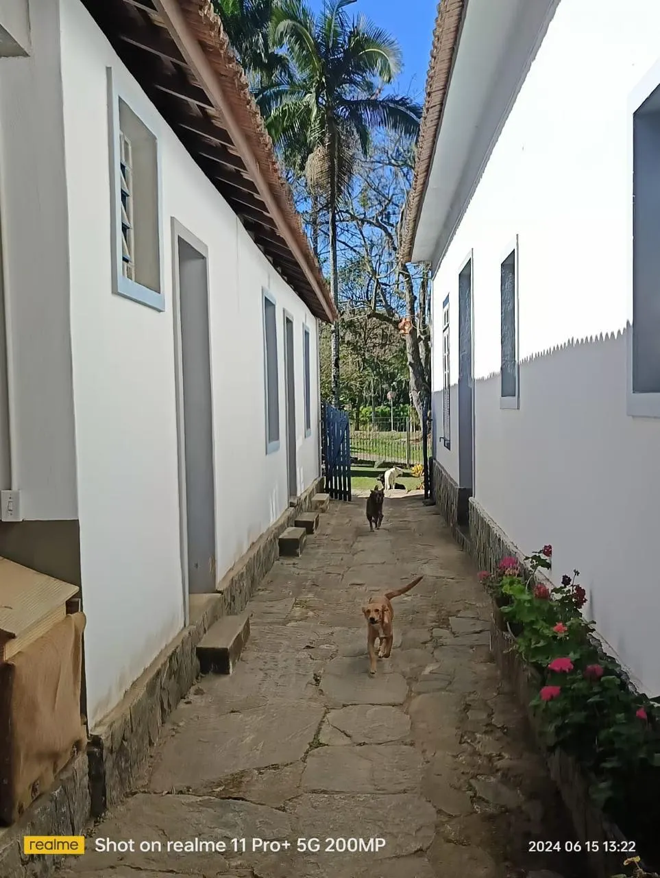 Fazenda à venda de 210 ha em Valença, RJ, Brasil