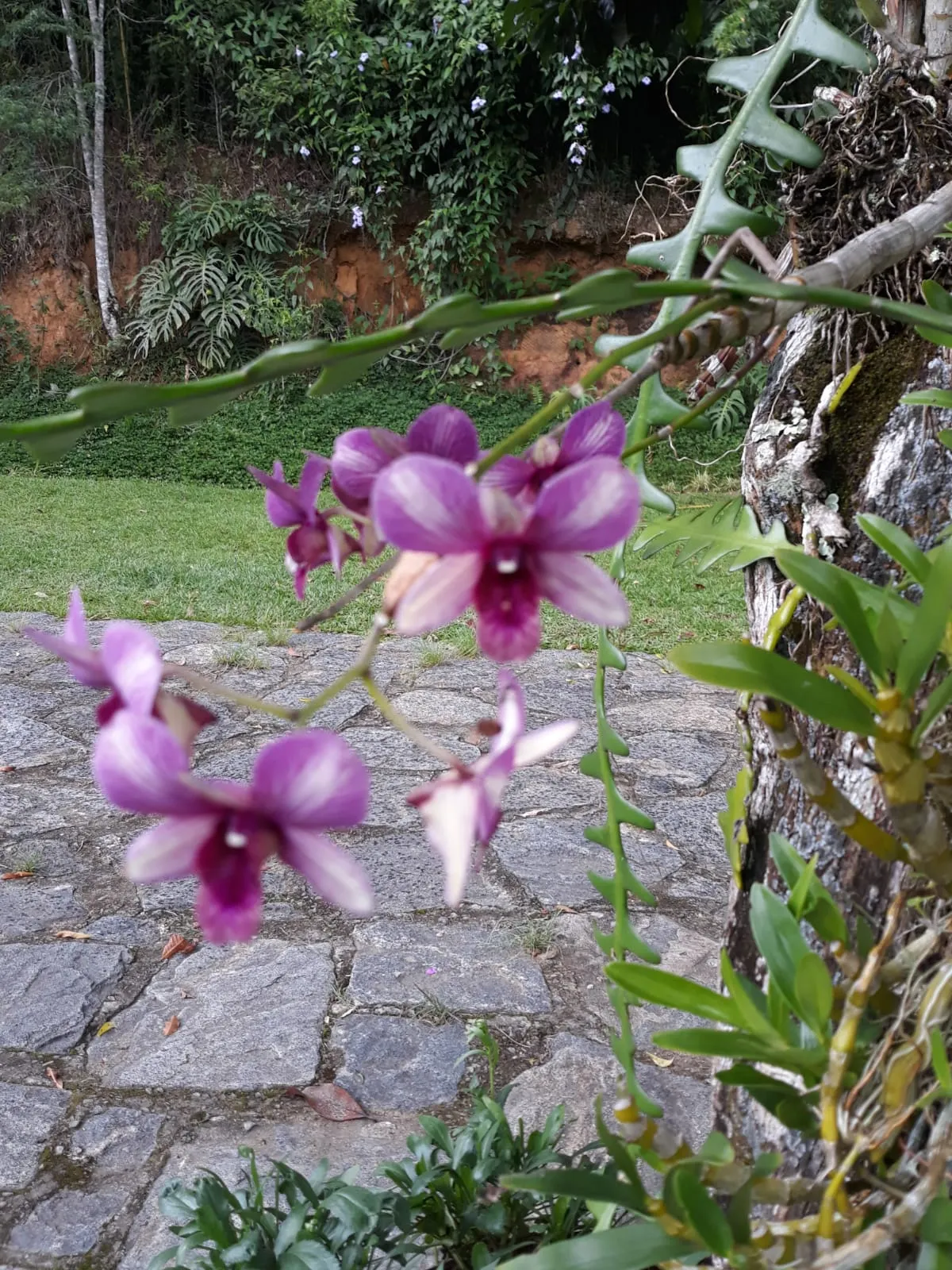 Fazenda à venda de 210 ha em Valença, RJ, Brasil