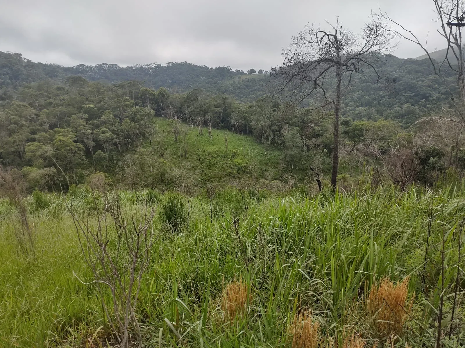 Chácara à venda de 2 ha em São José dos Campos, SP, Brasil