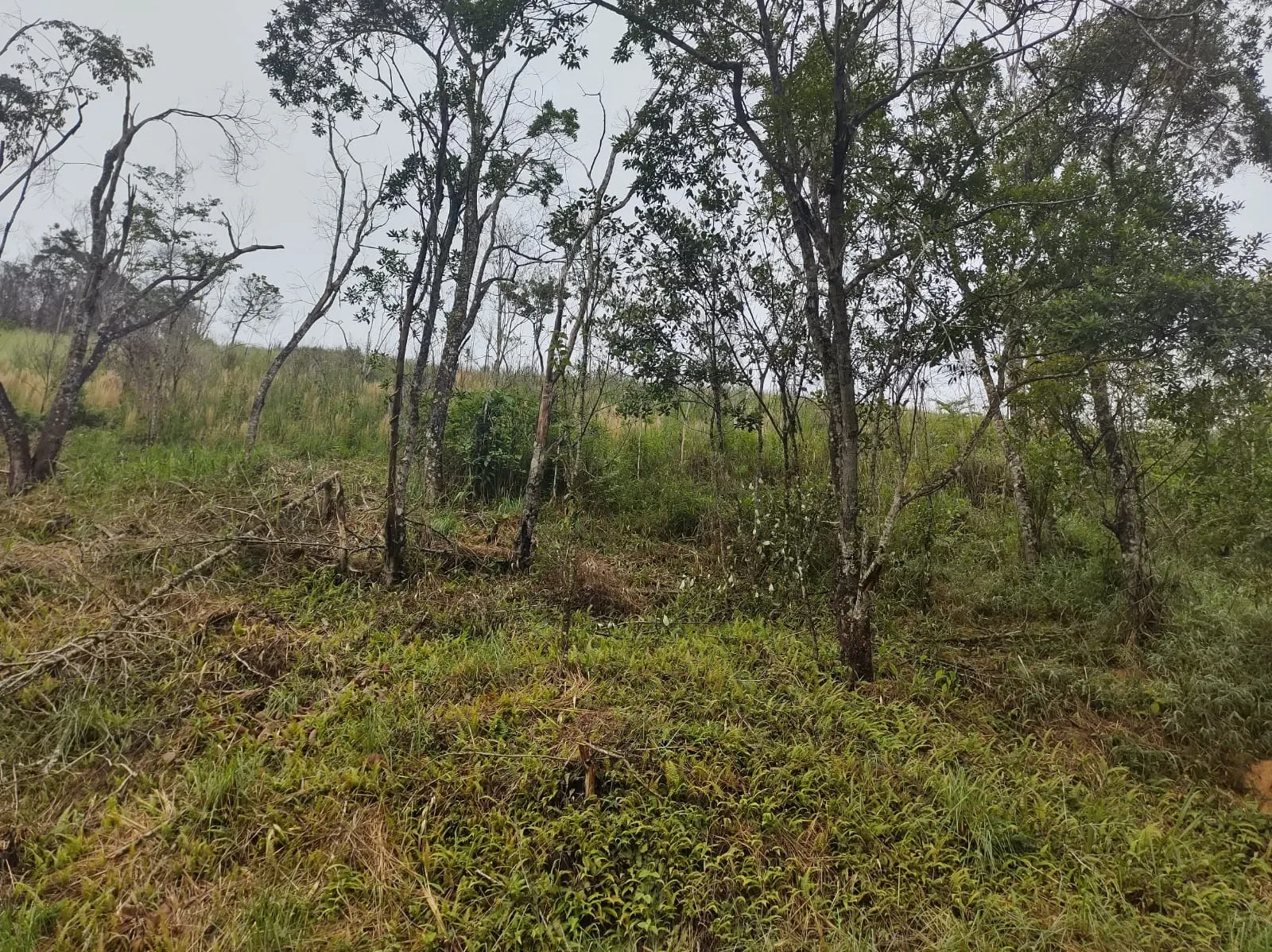 Chácara à venda de 2 ha em São José dos Campos, SP, Brasil