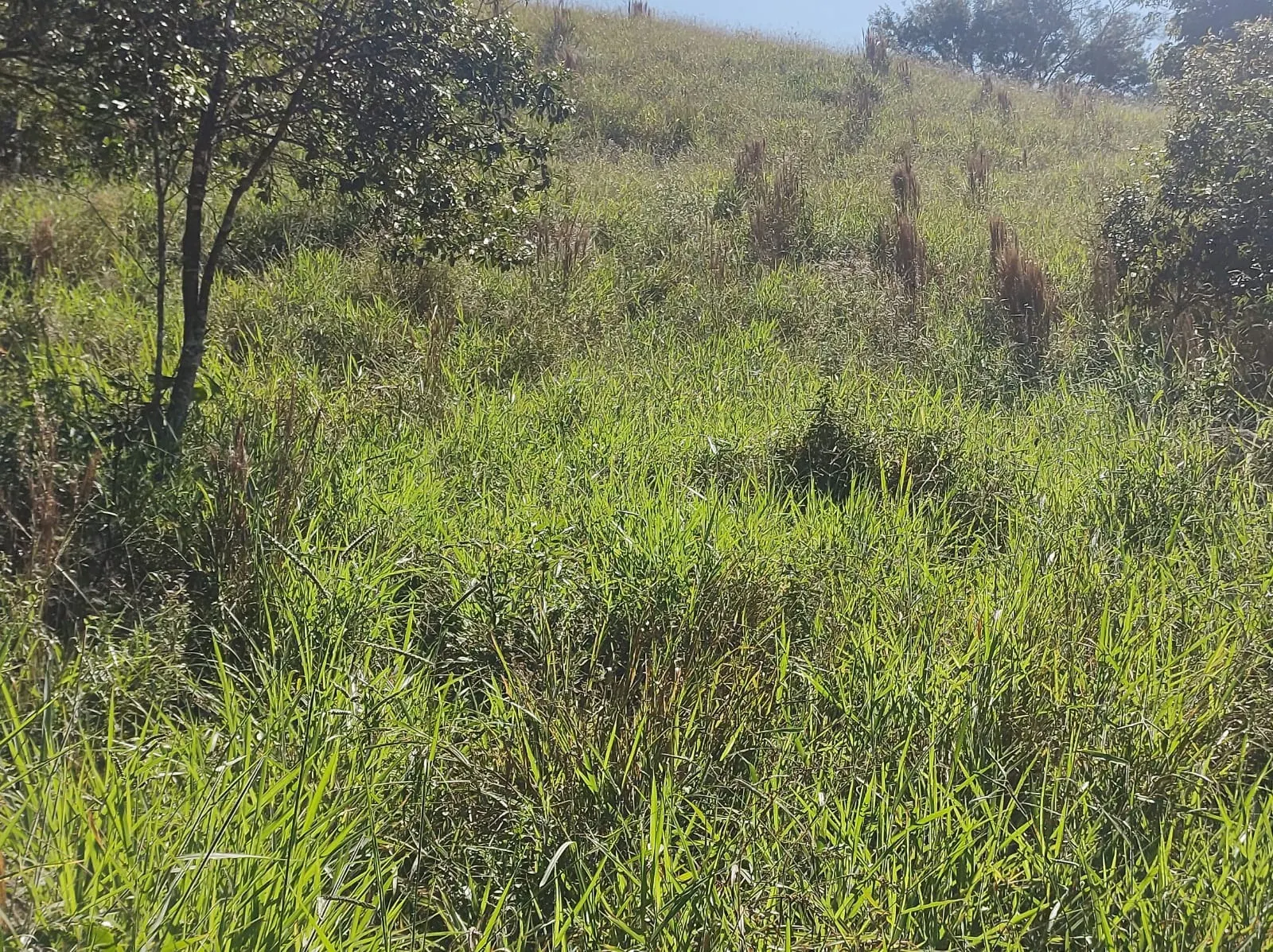 Chácara à venda de 2 ha em São José dos Campos, SP, Brasil