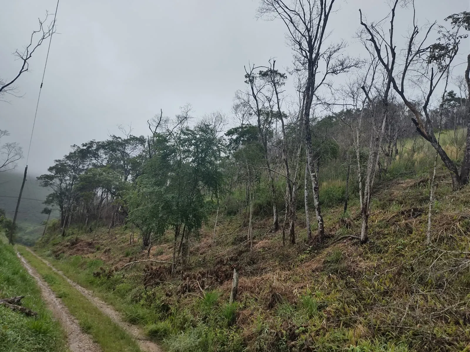 Chácara à venda de 2 ha em São José dos Campos, SP, Brasil