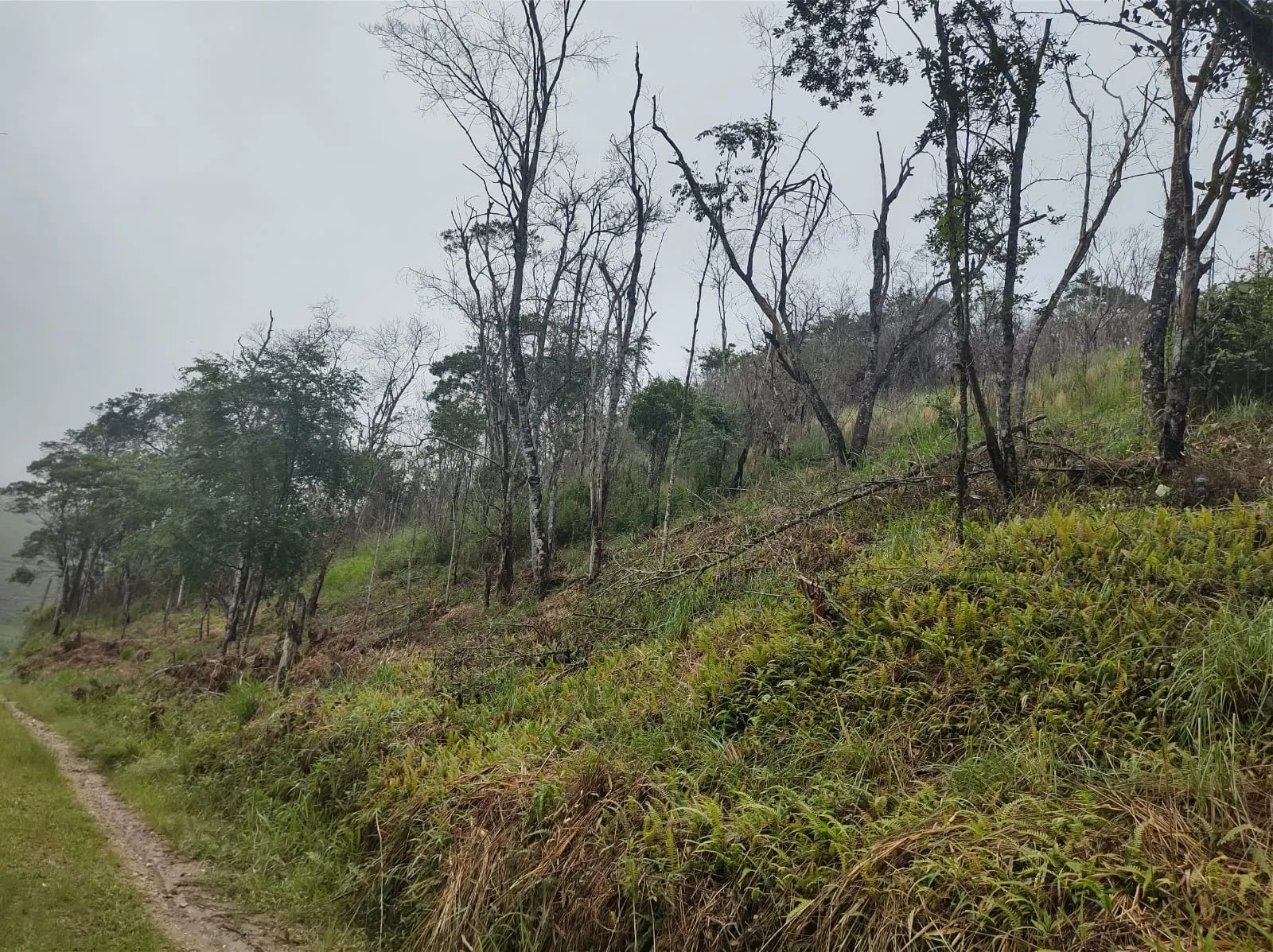 Chácara à venda de 2 ha em São José dos Campos, SP, Brasil