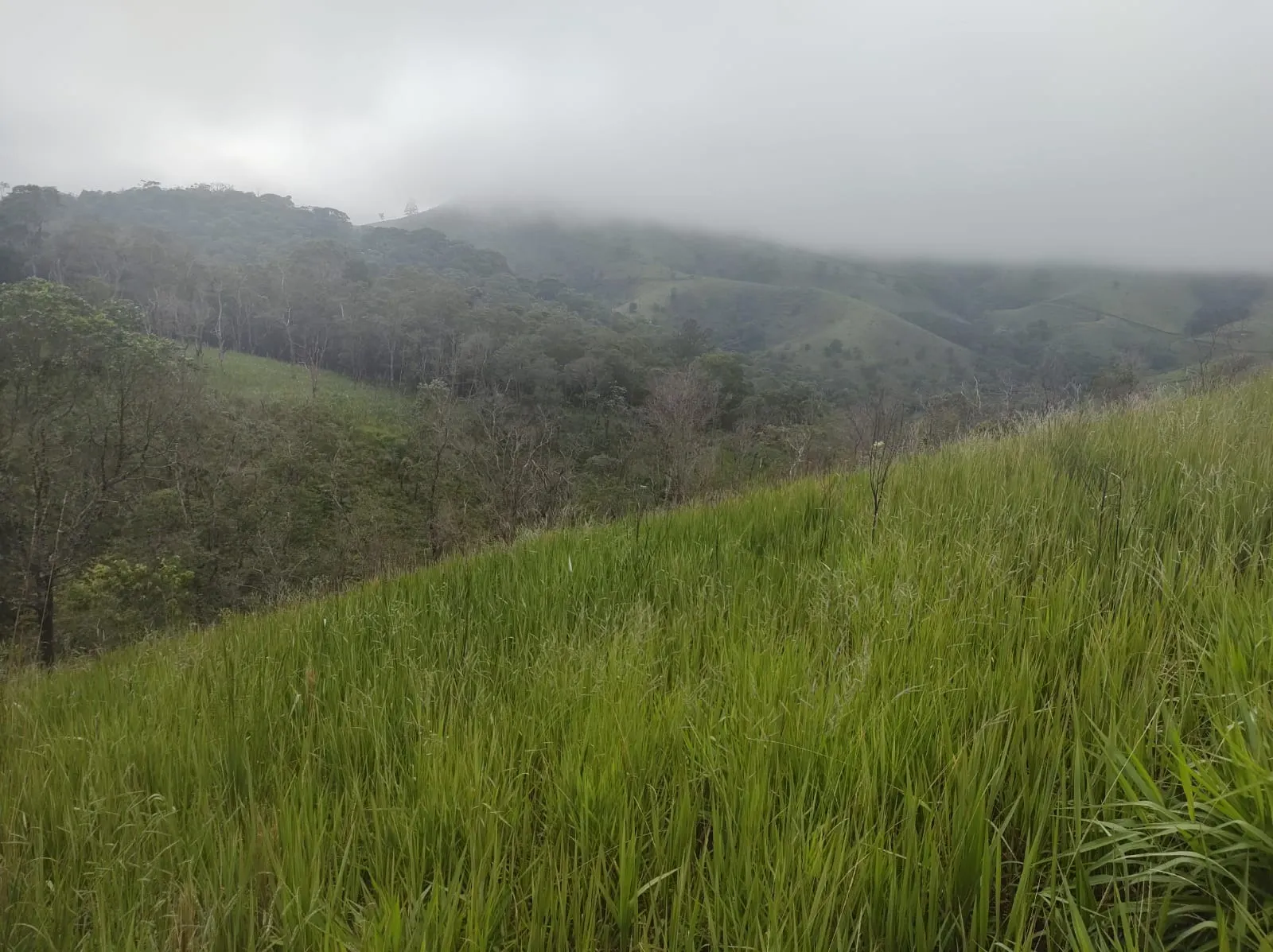 Chácara à venda de 2 ha em São José dos Campos, SP, Brasil