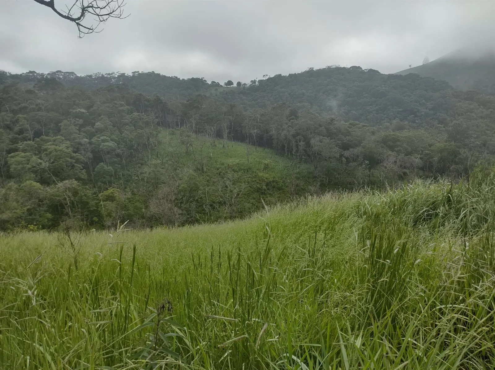 Chácara à venda de 2 ha em São José dos Campos, SP, Brasil