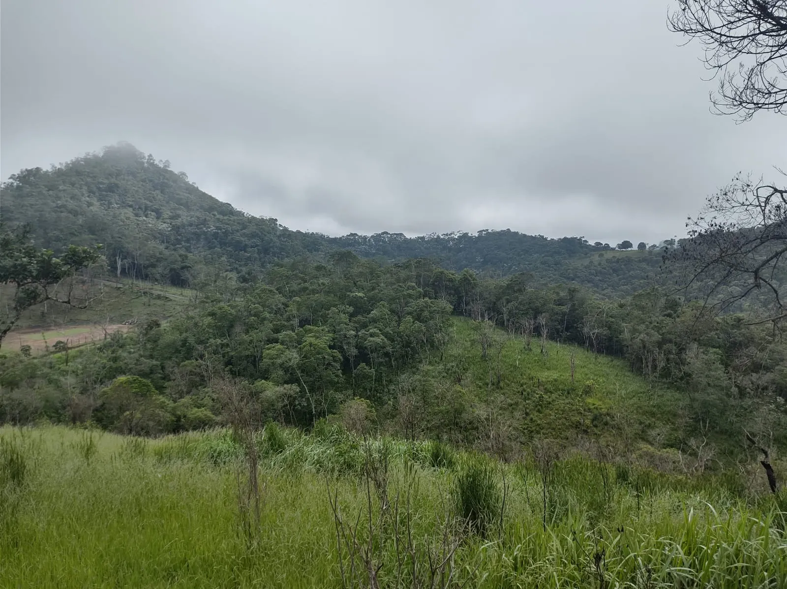 Chácara à venda de 2 ha em São José dos Campos, SP, Brasil
