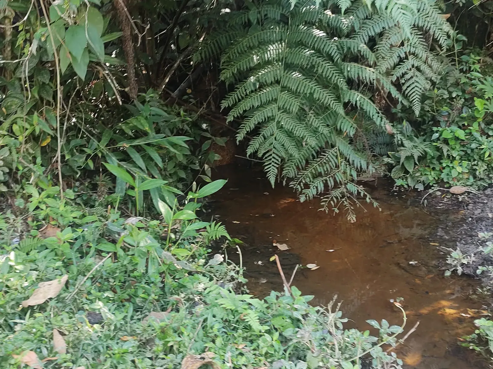 Chácara à venda de 2 ha em São José dos Campos, SP, Brasil