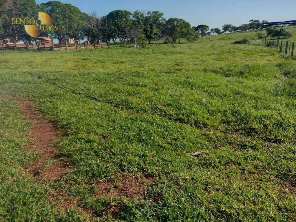 Farm for sale of 1,053 acres in Jangada, MT, Brazil