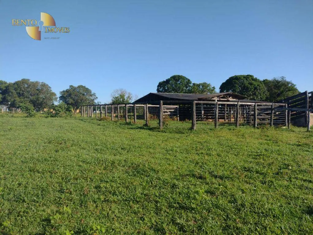 Fazenda à venda de 426 ha em Jangada, MT, Brasil