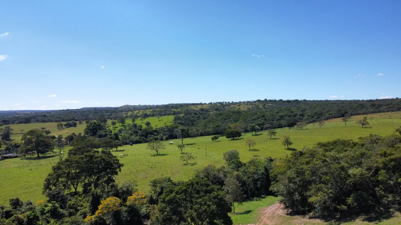 Fazenda à venda de 68 ha em Luziânia, GO, Brasil