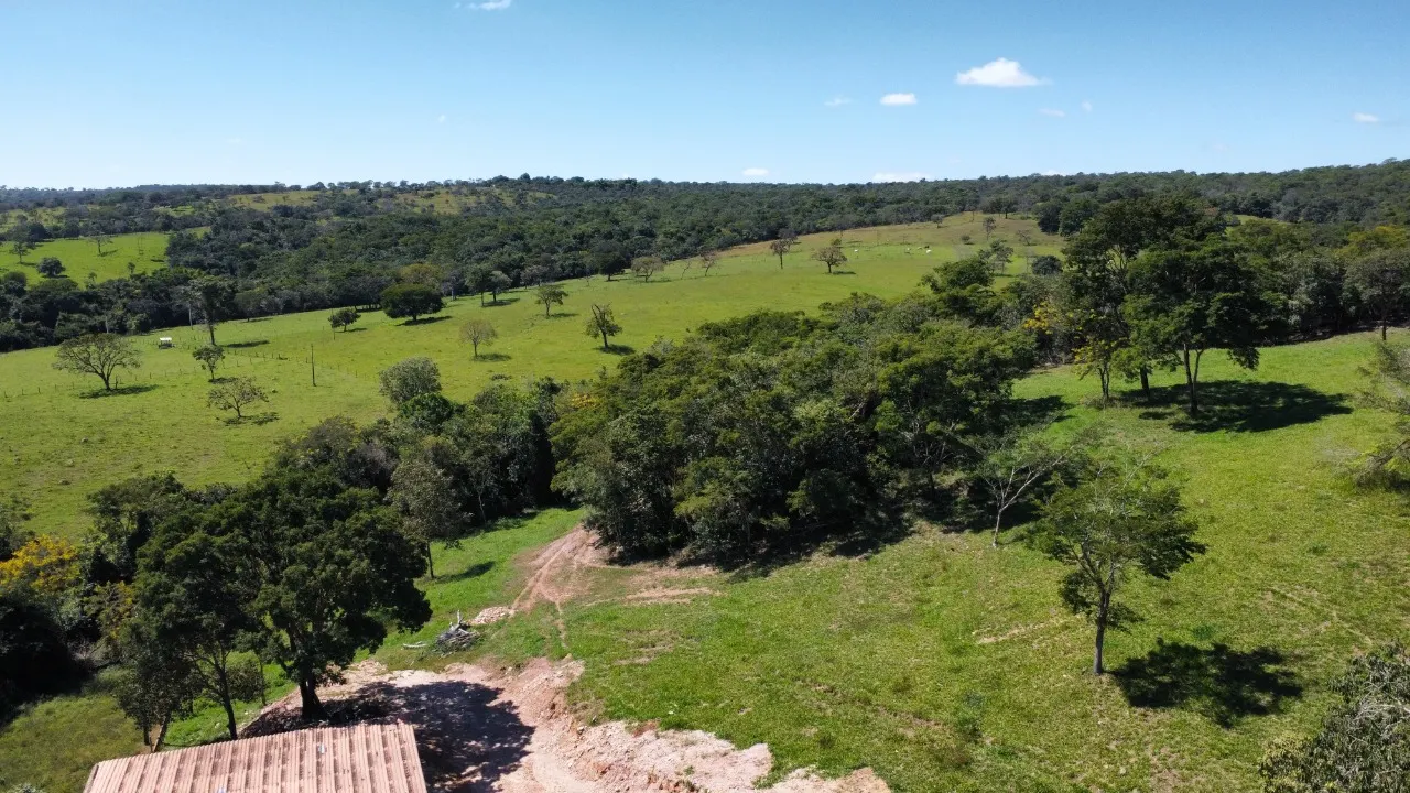 Fazenda à venda de 68 ha em Luziânia, GO, Brasil