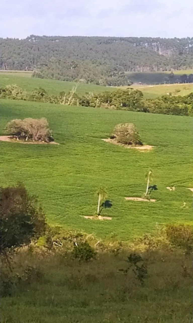 Fazenda à venda de 242 ha em São Miguel Arcanjo, SP, Brasil