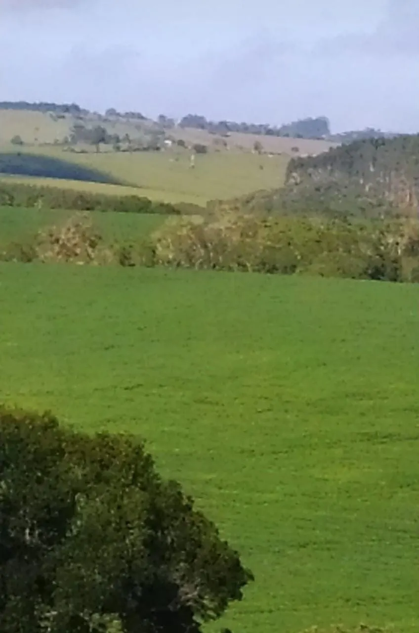 Fazenda à venda de 242 ha em São Miguel Arcanjo, SP, Brasil