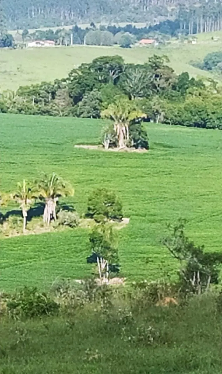 Fazenda à venda de 242 ha em São Miguel Arcanjo, SP, Brasil