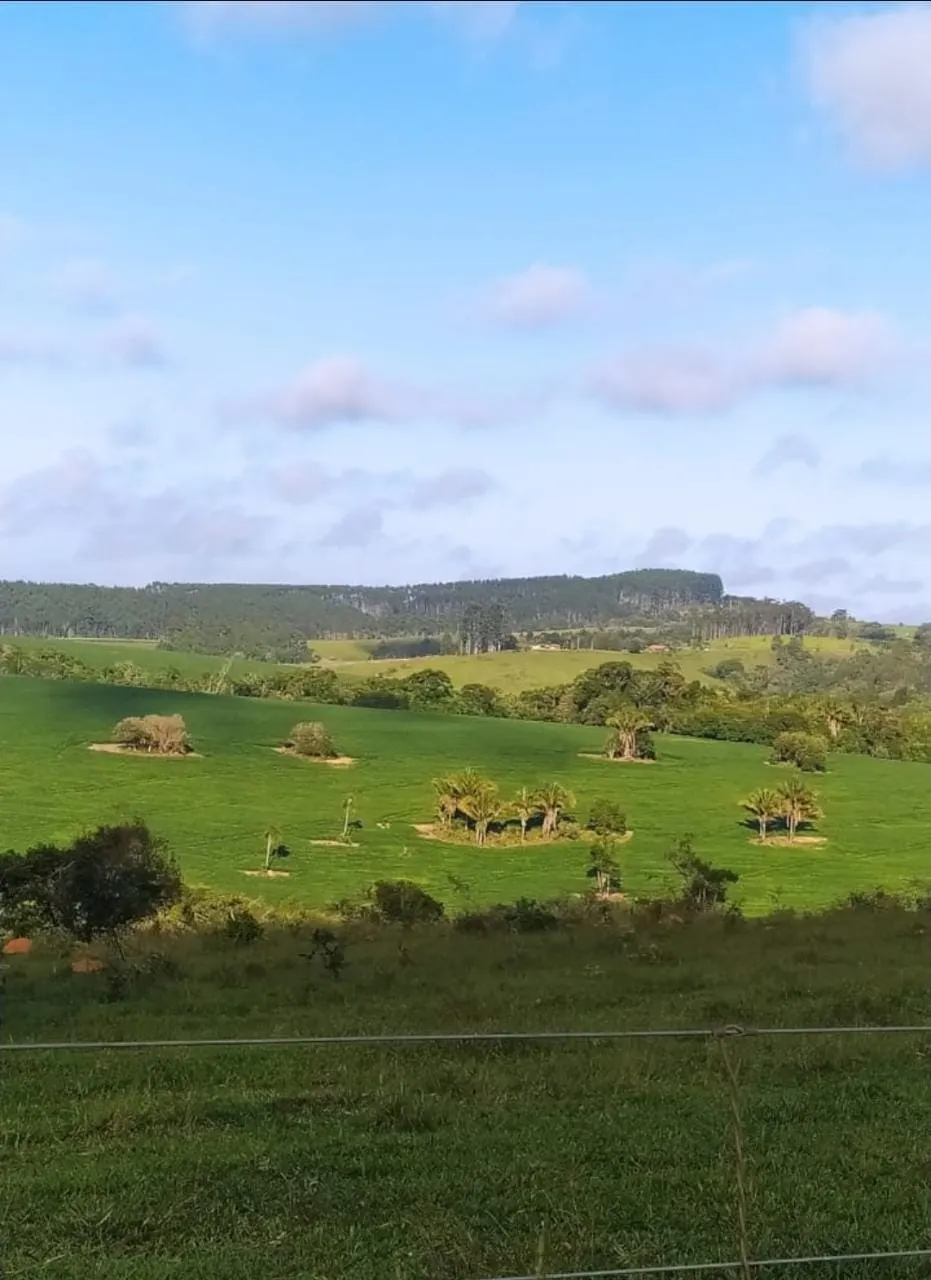 Fazenda à venda de 242 ha em São Miguel Arcanjo, SP, Brasil
