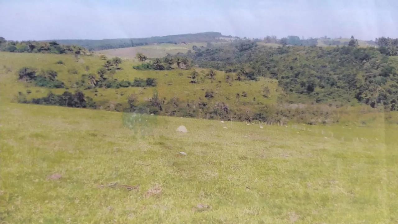 Fazenda à venda de 242 ha em São Miguel Arcanjo, SP, Brasil