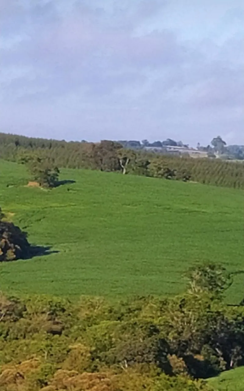 Fazenda à venda de 242 ha em São Miguel Arcanjo, SP, Brasil