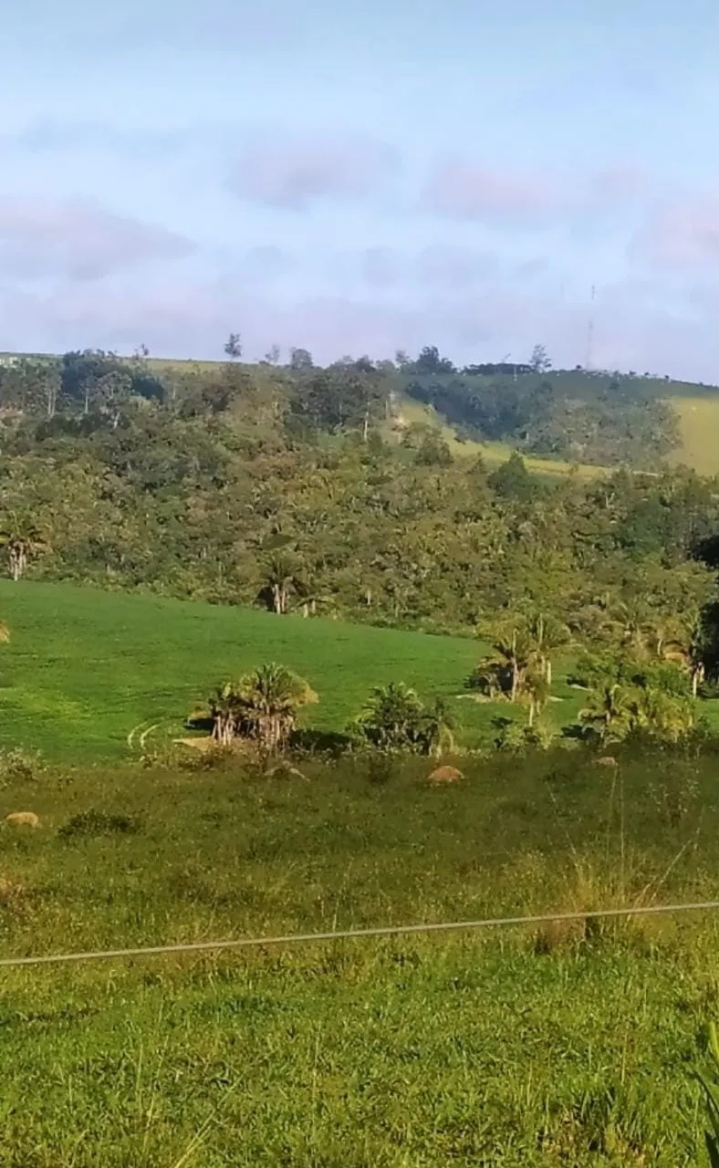 Fazenda à venda de 242 ha em São Miguel Arcanjo, SP, Brasil