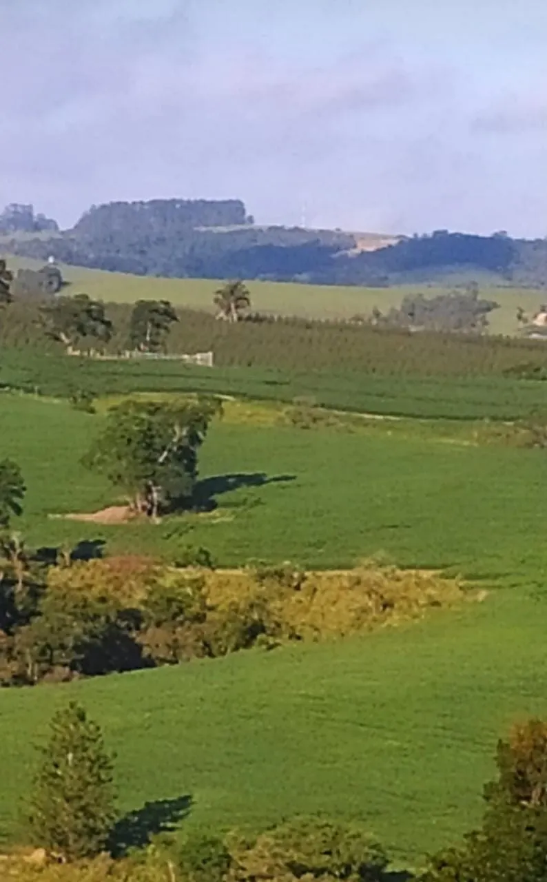 Fazenda à venda de 242 ha em São Miguel Arcanjo, SP, Brasil