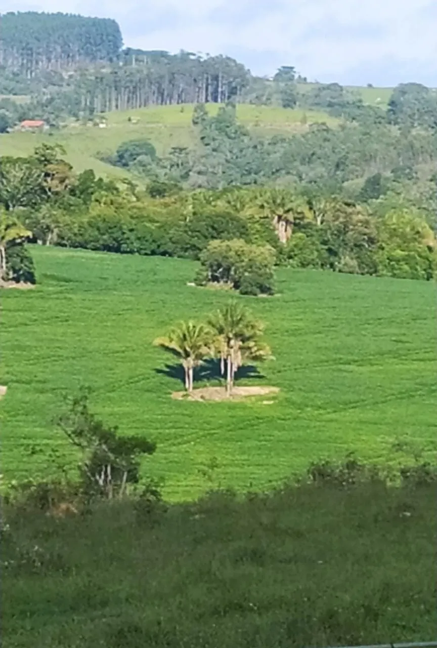 Fazenda à venda de 242 ha em São Miguel Arcanjo, SP, Brasil