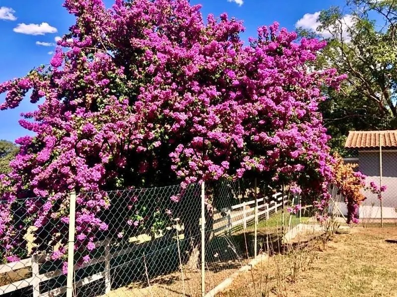 Sítio à venda de 5 ha em Porto Feliz, SP, Brasil