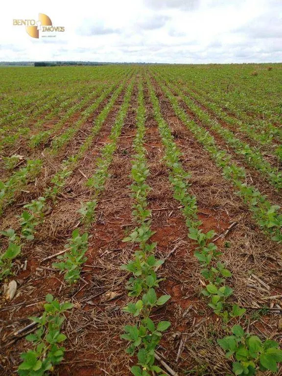 Fazenda à venda de 5.468 ha em Nova Maringá, MT, Brasil