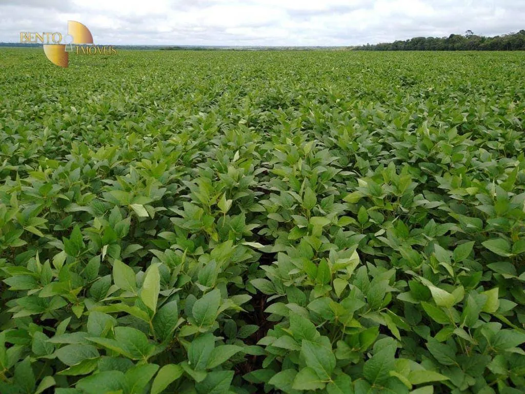 Fazenda à venda de 5.468 ha em Nova Maringá, MT, Brasil