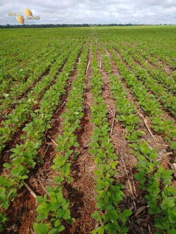 Fazenda à venda de 5.468 ha em Nova Maringá, MT, Brasil