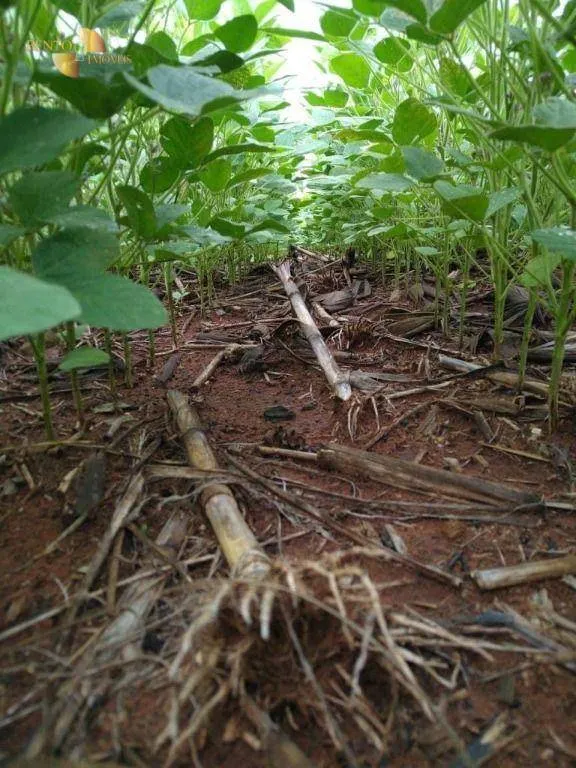 Fazenda à venda de 5.468 ha em Nova Maringá, MT, Brasil