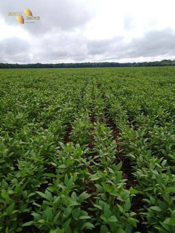 Fazenda à venda de 5.468 ha em Nova Maringá, MT, Brasil